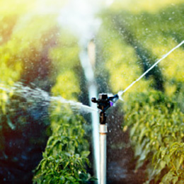 Application of Rubber Hoses & Strips: Agriculture